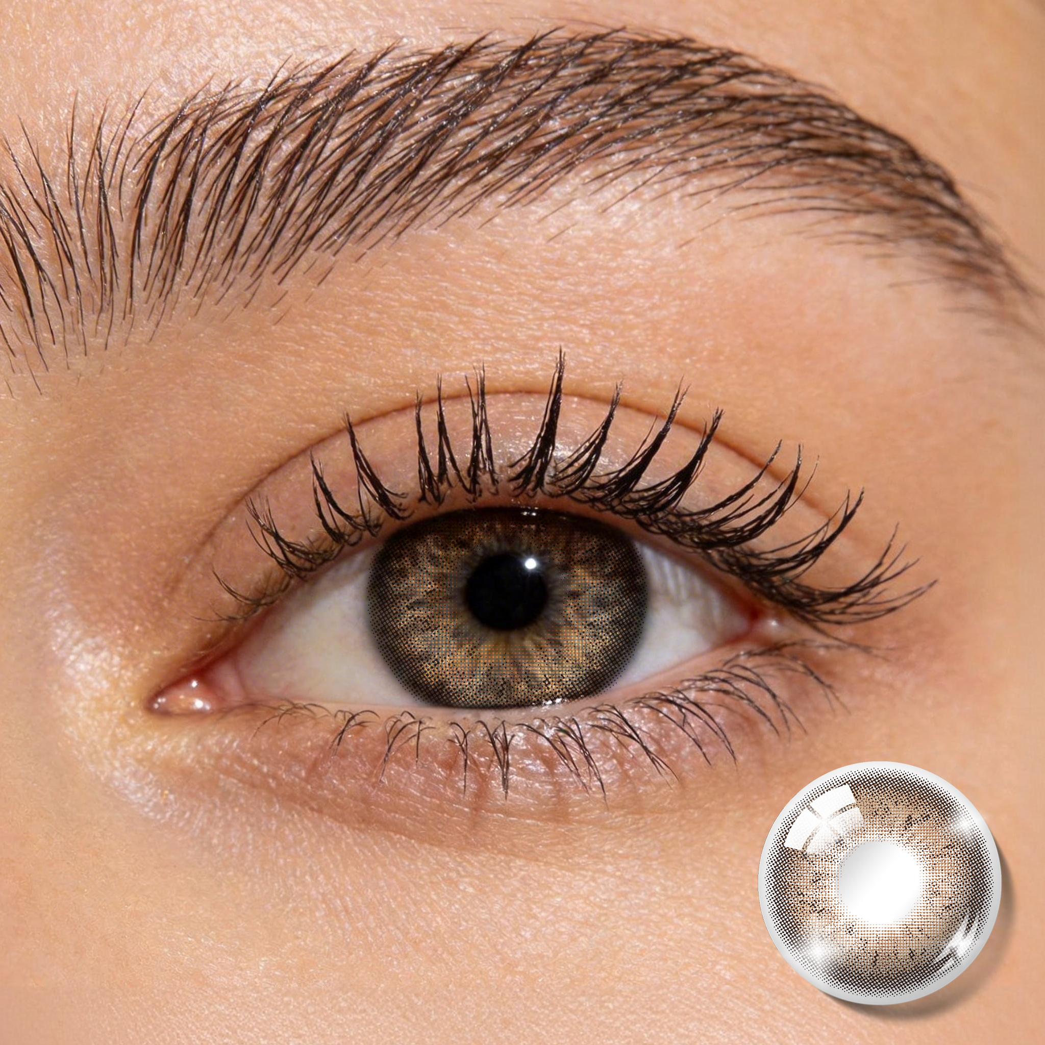 Warm Hazel Plaid Colored Contacts | Cozy Natural Glow, 6 Months Wear