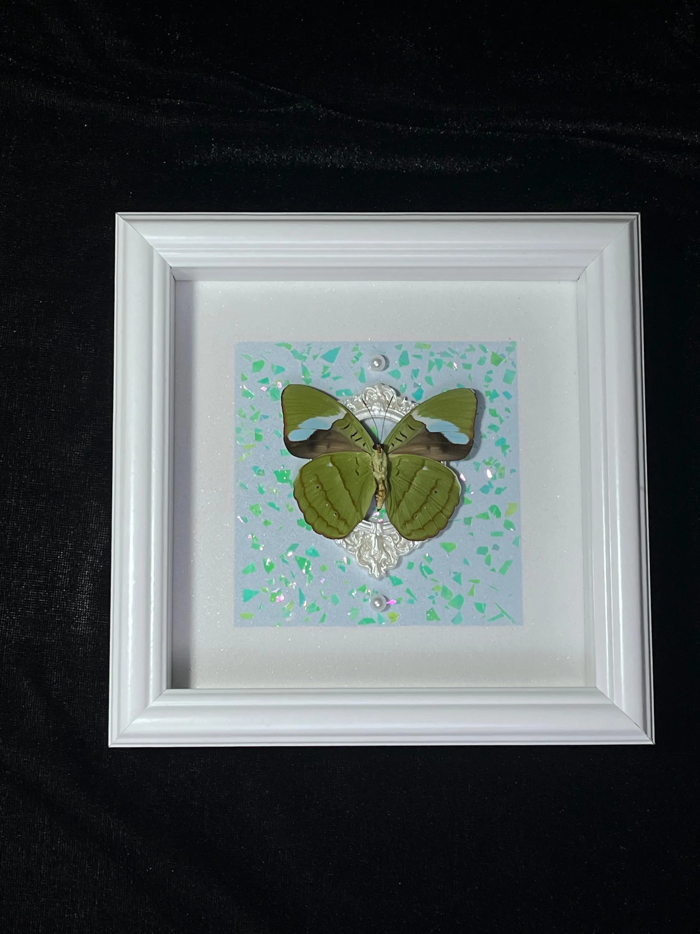 Framed Nessaea Butterfly with Hand-Painted Sand Art – Real Specimen Decor (Nessaea hewitsonii) | 7x7 in
