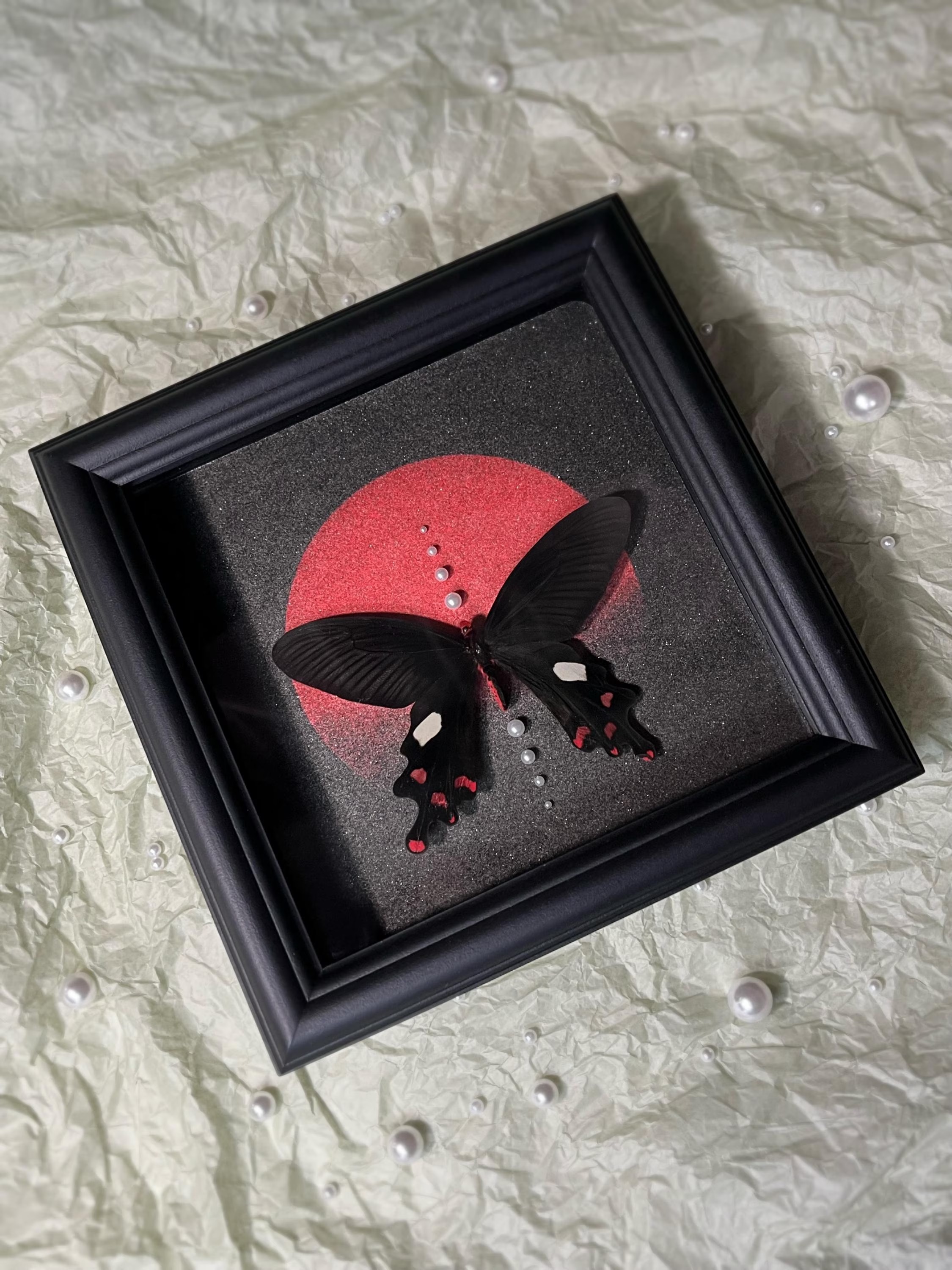 Framed Common Windmill Butterfly Specimen: Black Wood Frame