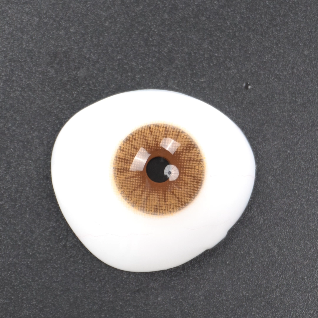 BONVIRO Cocoa Brown Colored Contact Lenses – Soft Warm Brown Contacts for a Natural Look | 6 Months Wear
