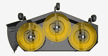 Pasted Image