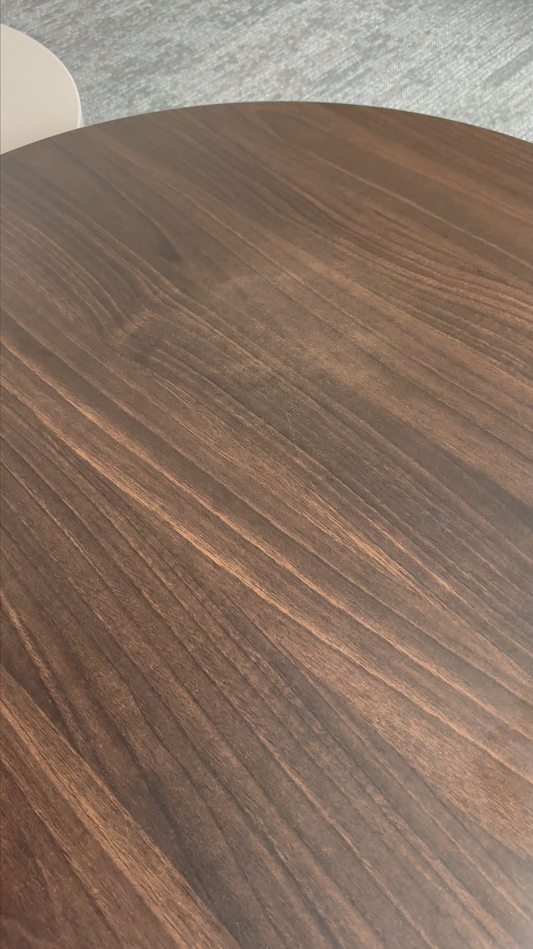 Player Version Algeria Away Authentic Jersey World Cup 2026