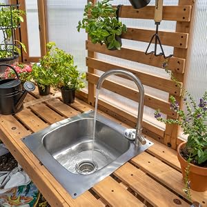 Pasted Image