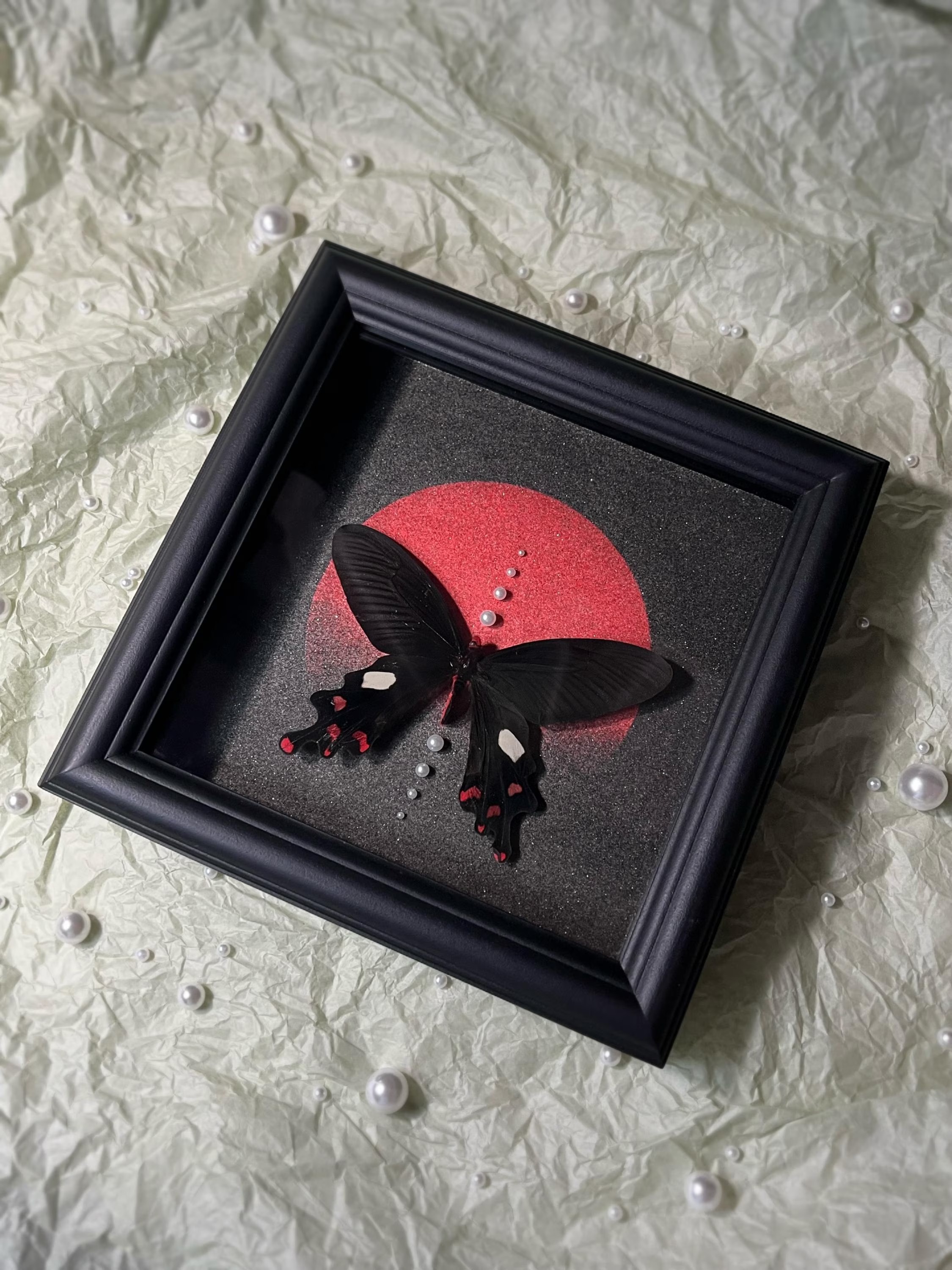 Framed Common Windmill Butterfly Specimen: Black Wood Frame