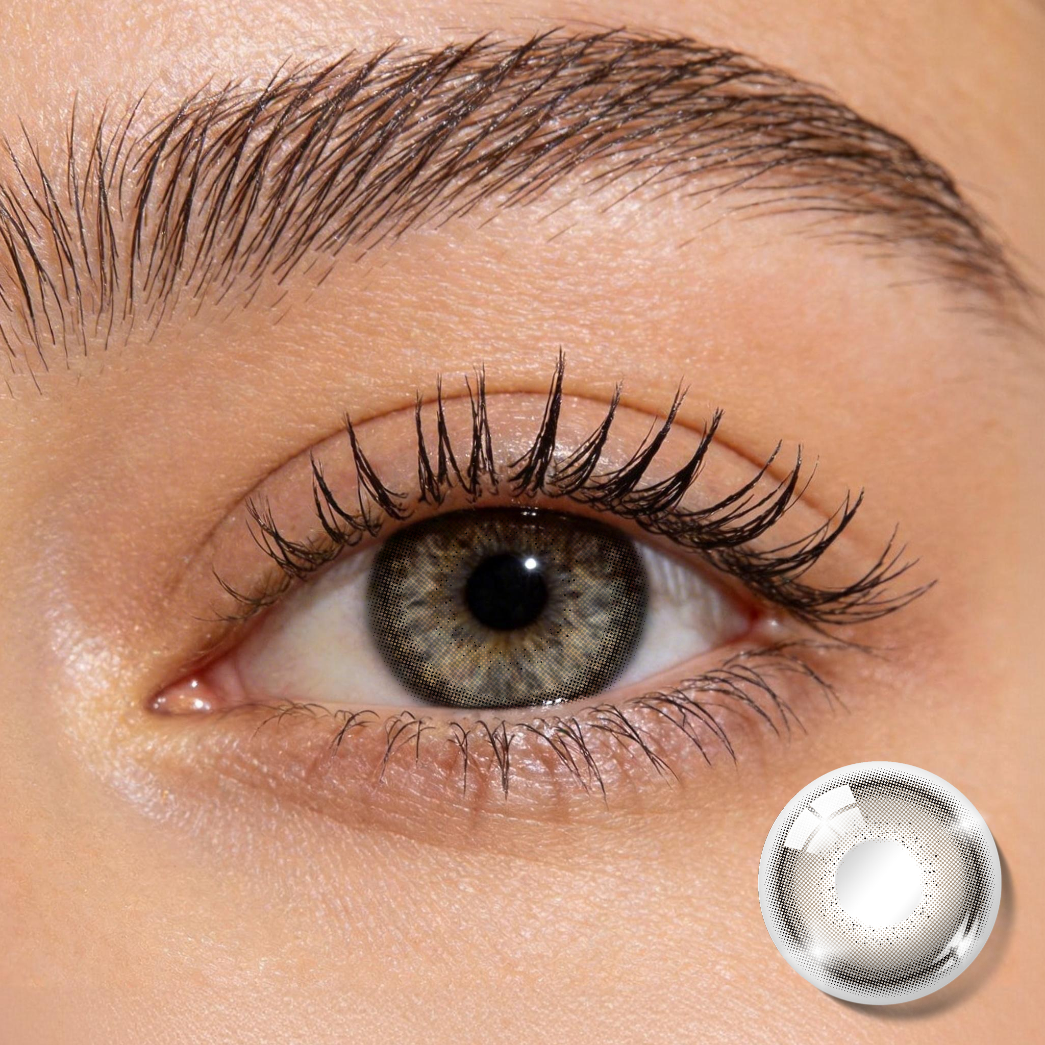 BONVIRO Cocoa Cloud Contacts - Muted Chocolate Brown Gradient, Dreamy Soft Eyes | 6 Months Wear