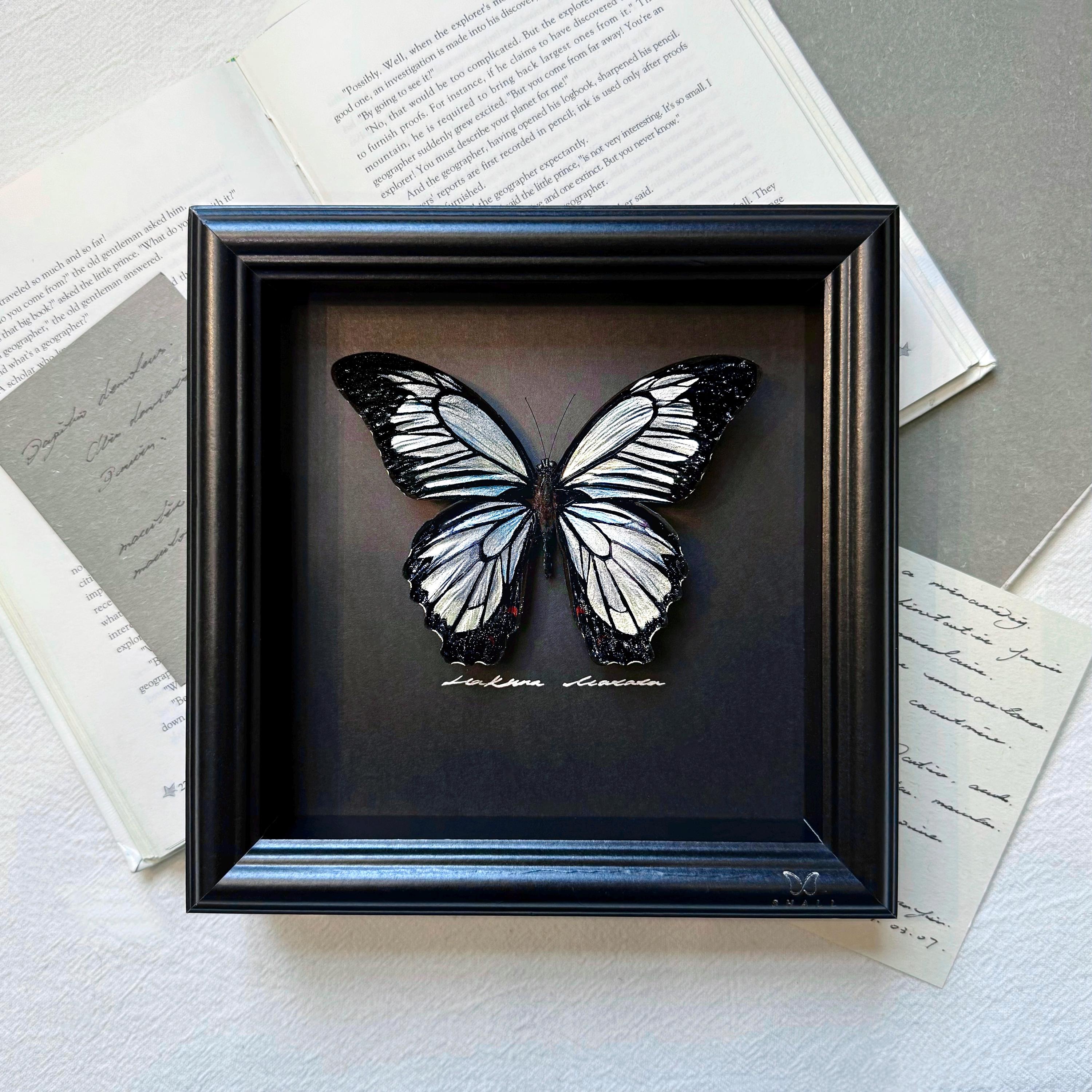Luxury Butterfly Gift, Hand Painted Real Butterfly Frame, Unique Art Gift for Her, Anniversary Gift, Elegant Wall Decor