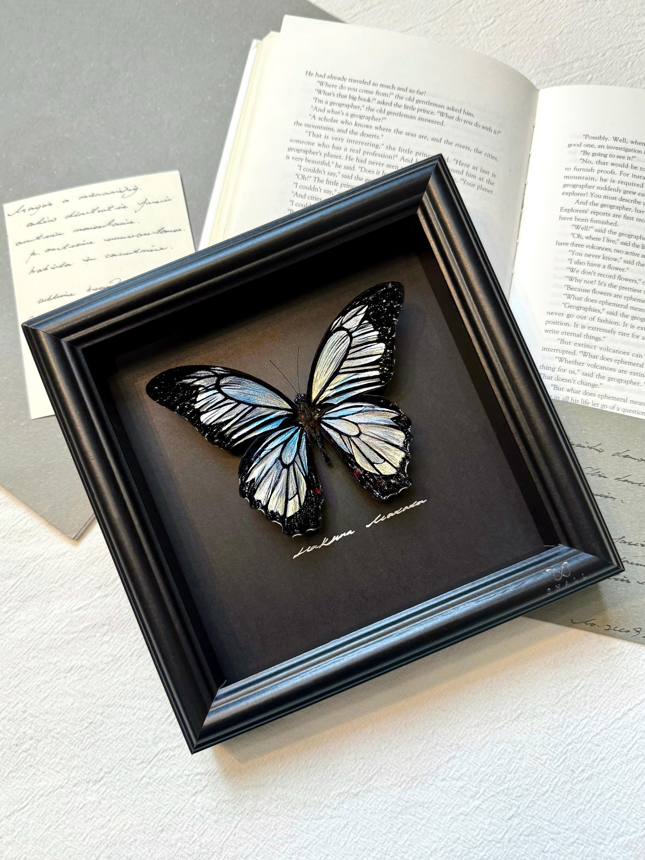 Luxury Butterfly Gift, Hand Painted Real Butterfly Frame, Unique Art Gift for Her, Anniversary Gift, Elegant Wall Decor
