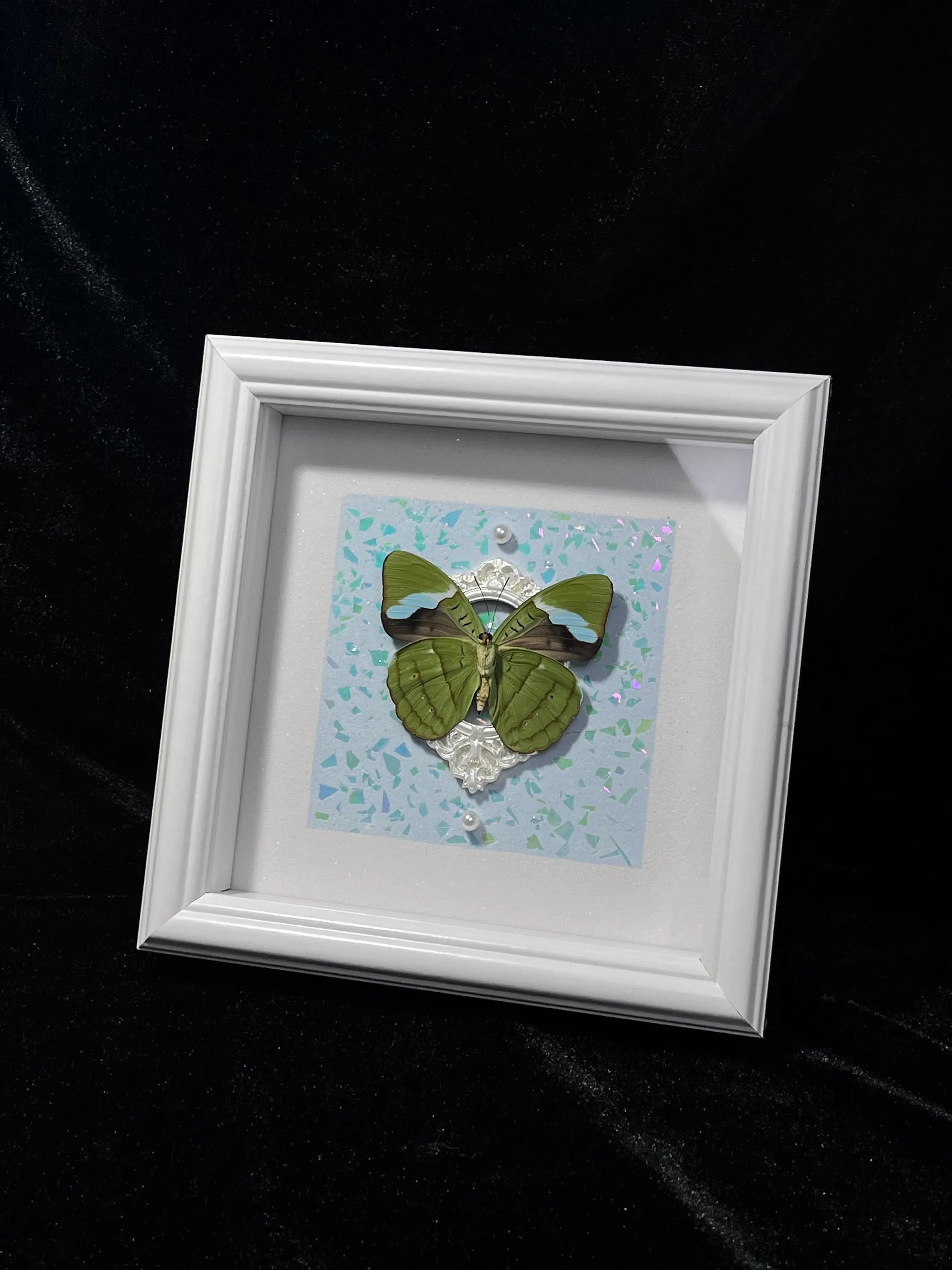 Framed Nessaea Butterfly with Hand-Painted Sand Art – Real Specimen Decor (Nessaea hewitsonii) | 7x7 in