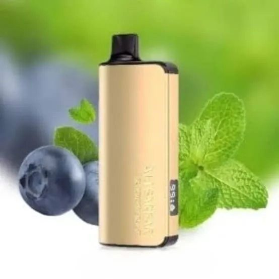 Alibarbar Ingot 9000 puffs - Blueberry Mint -ALIVAPEAUS