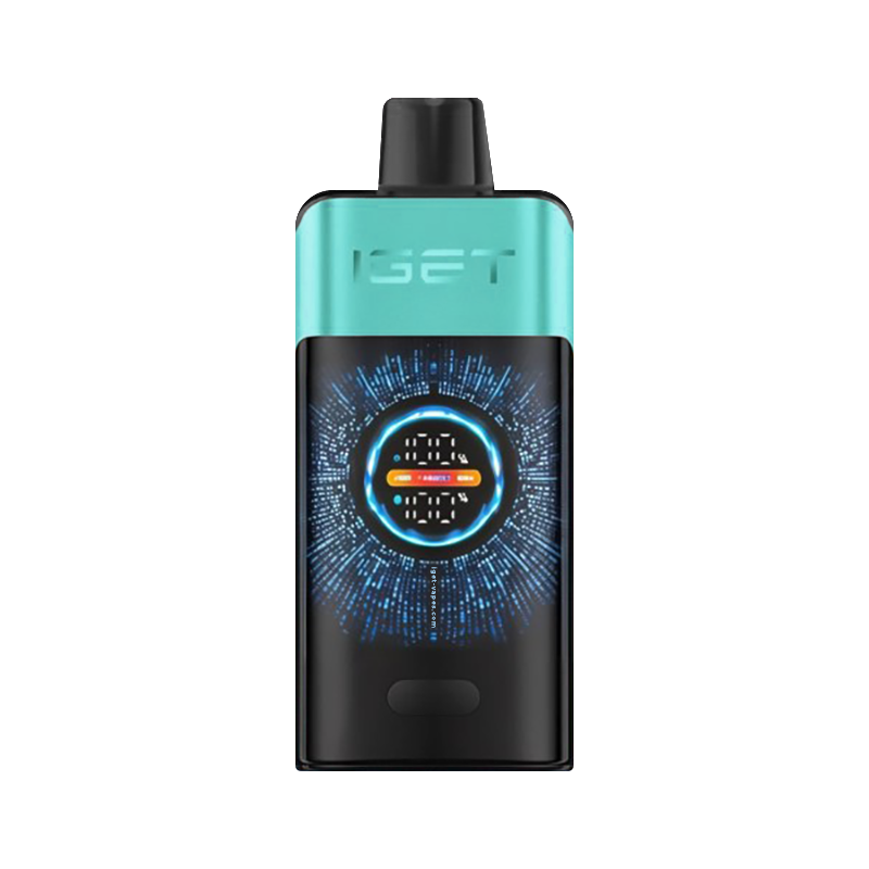 IGET ONE - Mountain Spring Mint Ice -ALIVAPEAUS