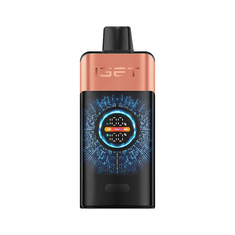 IGET ONE - Blueberry Raspberry -ALIVAPEAUS