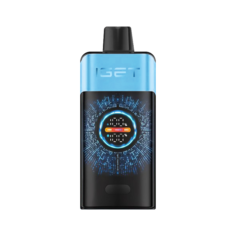 IGET ONE - Blueberry Ice -ALIVAPEAUS