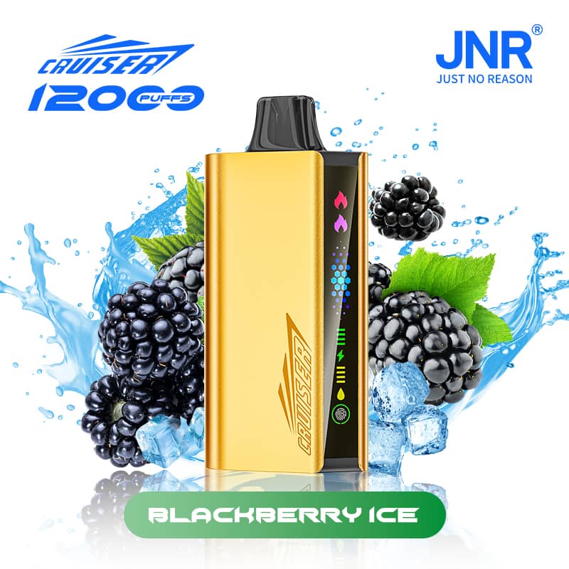 JNR Cruiser 12000 Puffs –Blackberry Ice -ALIVAPEAUS