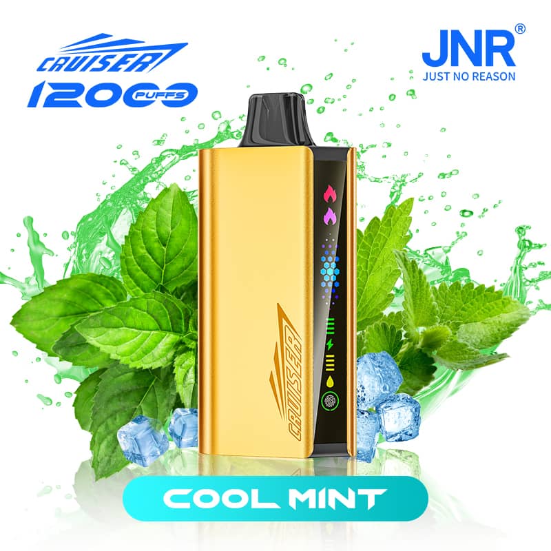 JNR Cruiser 12000 Puffs –Cool Mint -ALIVAPEAUS