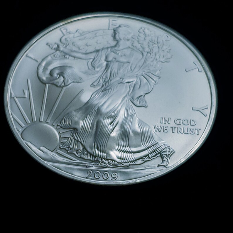 2009  American Silver Eagle   -  1 Oz .999 Silver  BU - Straight from roll  # 719    Reg 49 - usacoinsstore