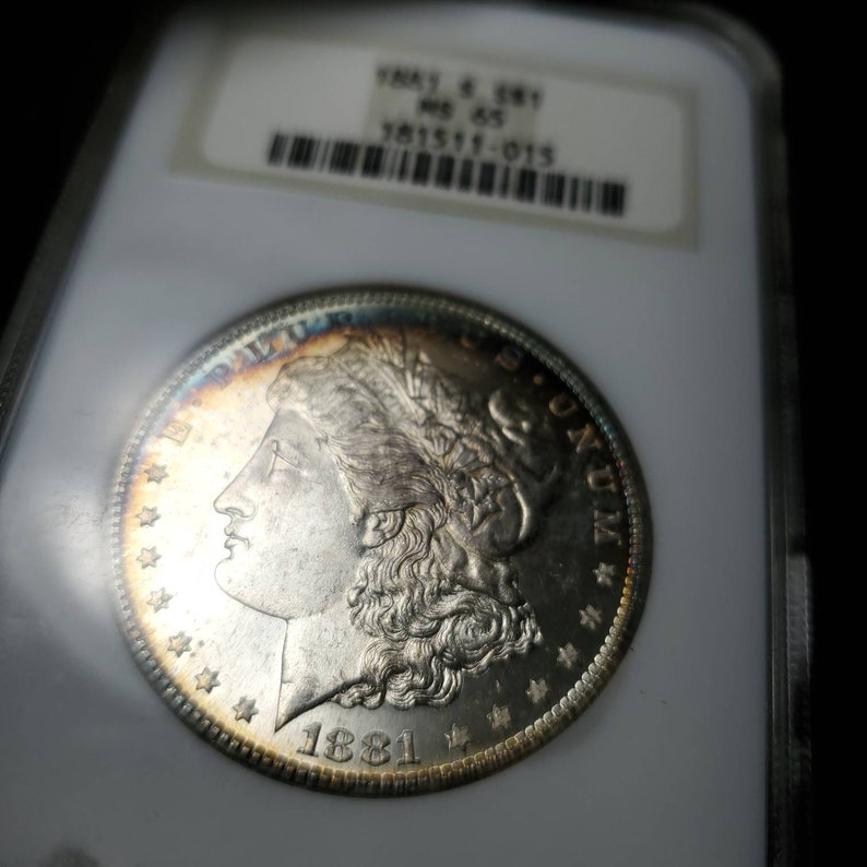 1881 S  Morgan Silver Dollar NGC  MS65  Beautiful Toning  - lot# 264 - usacoinsstore