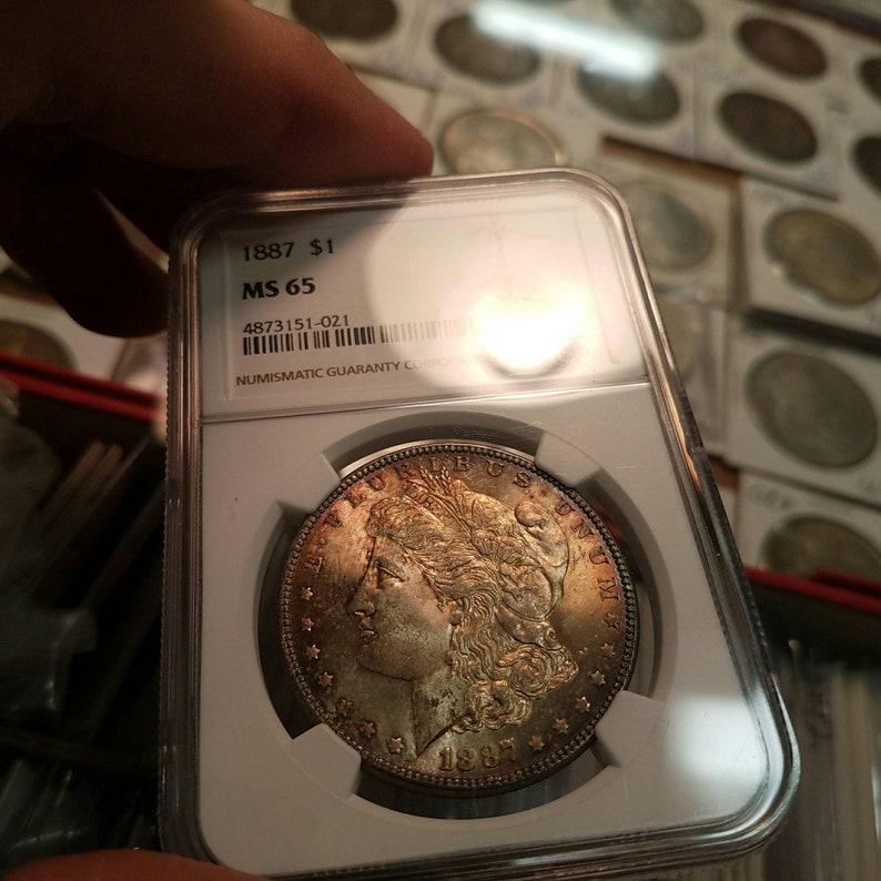 1887 Morgan Silver Dollar NGC MS 65 Rainbow Toned. Lot#225 - usacoinsstore