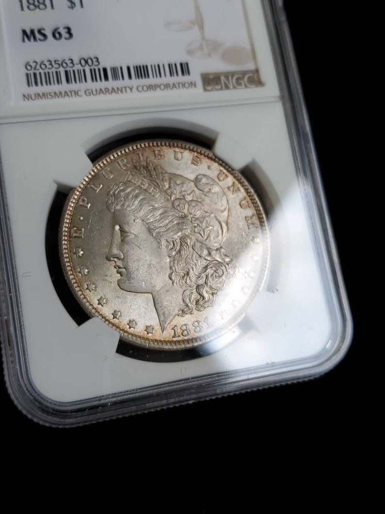 1881  MS 63 Silver Morgan Dollar, NGC  MS 63  Silver  Coin . Beautiful Toning ! Key date!   Lot # 1479 - usacoinsstore