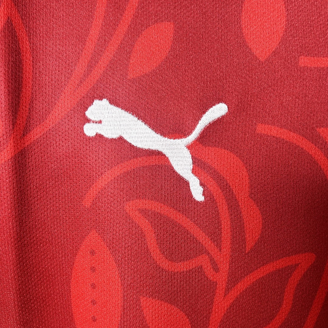 Portugal Training Jersey 2025