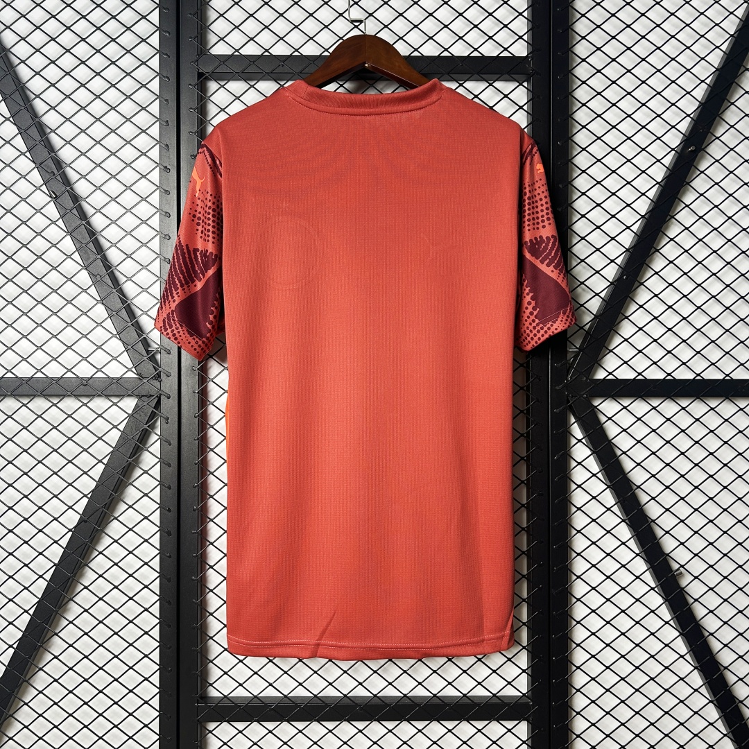 SE Palmeiras Goalkeeper Jersey 2025