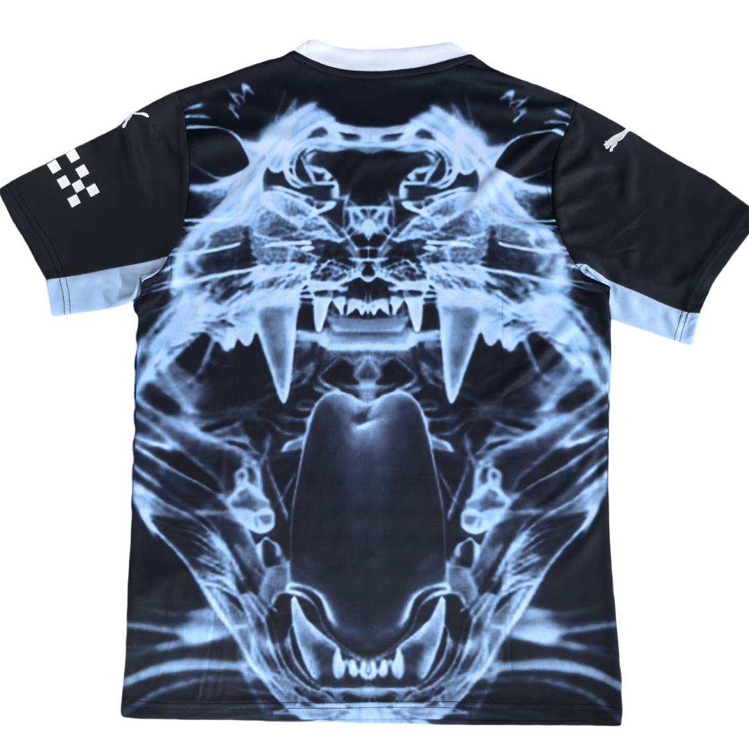 Manchester City Special Edition jersey 2025/26