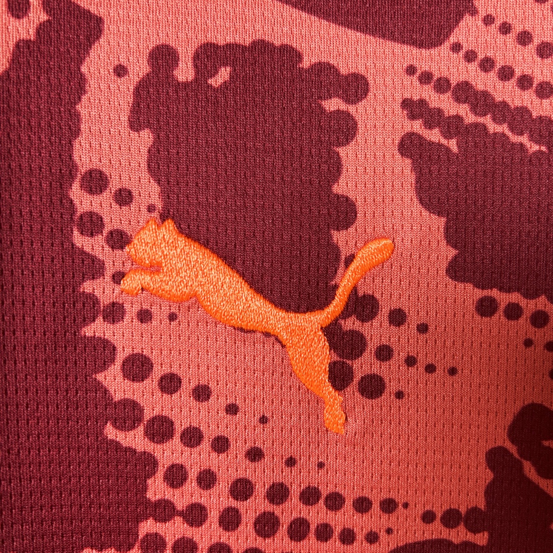 SE Palmeiras Goalkeeper Jersey 2025