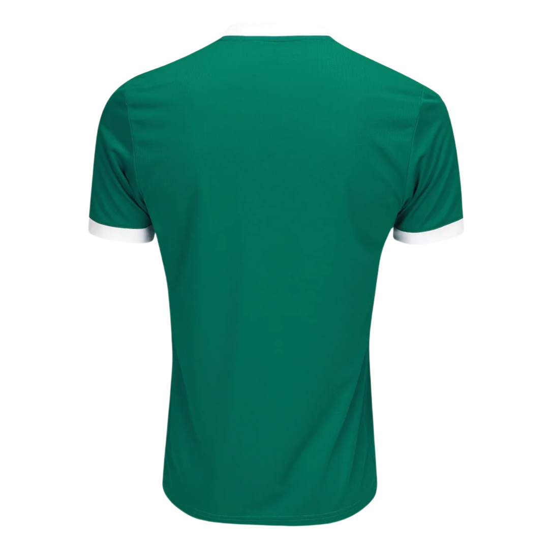 SE Palmeiras Home Jersey 2025
