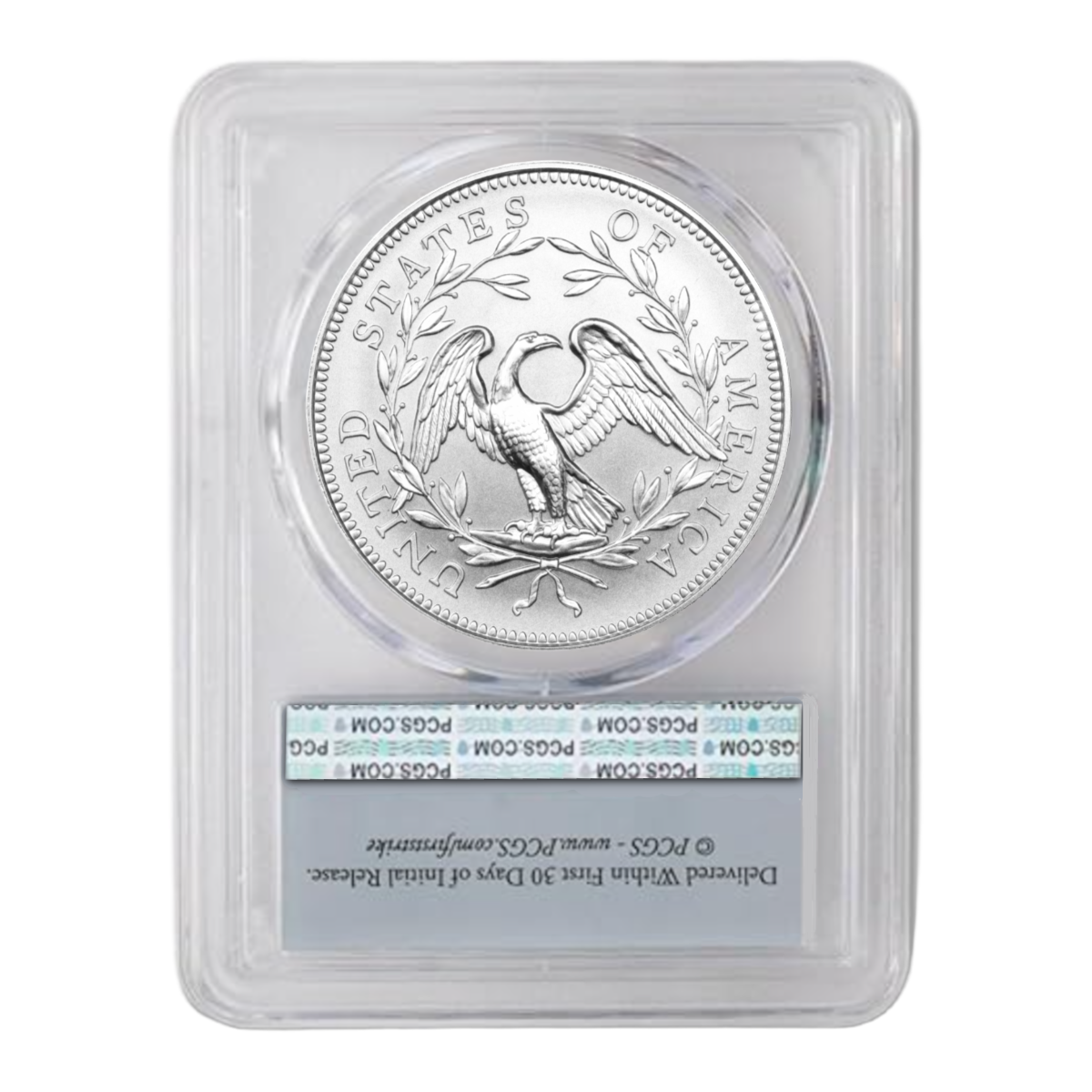 1 Oz 2025 Liberty Flowing Hair Dollar Silver – Silver • Limited Release • Limited-Time Factory Price
